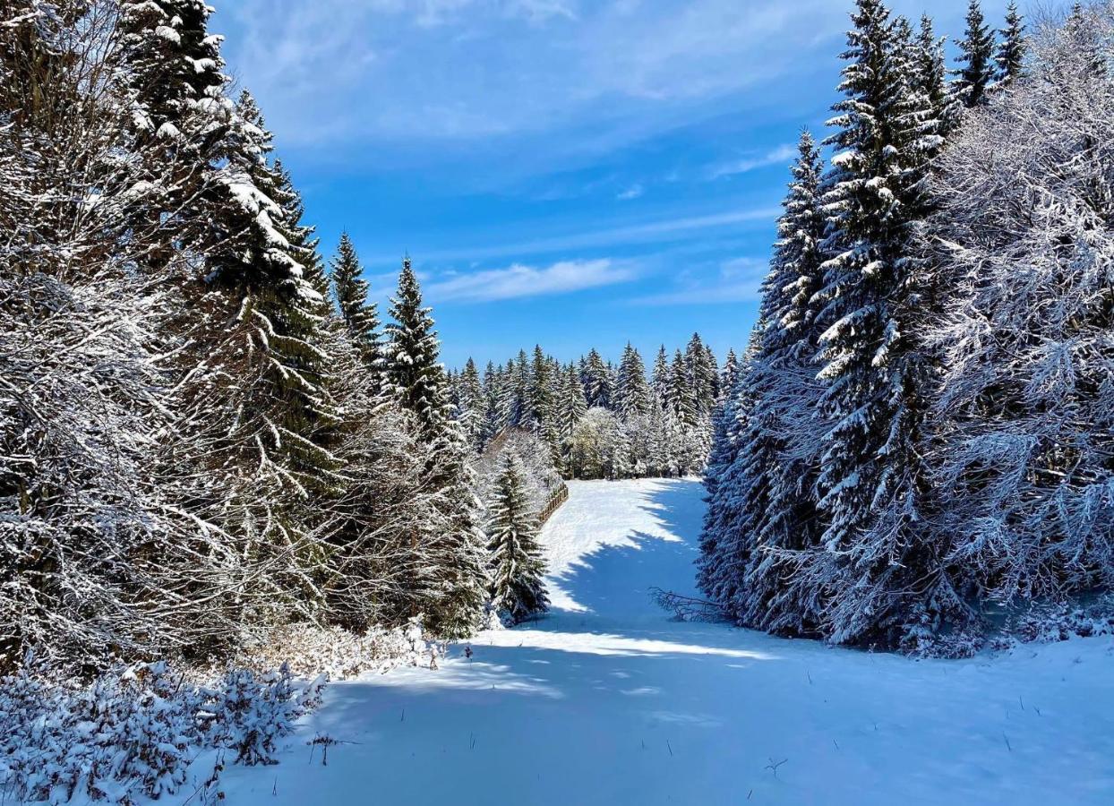 Happy Place Poiana Brasov Exteriör bild