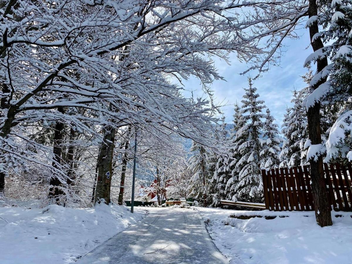 Happy Place Poiana Brasov Exteriör bild