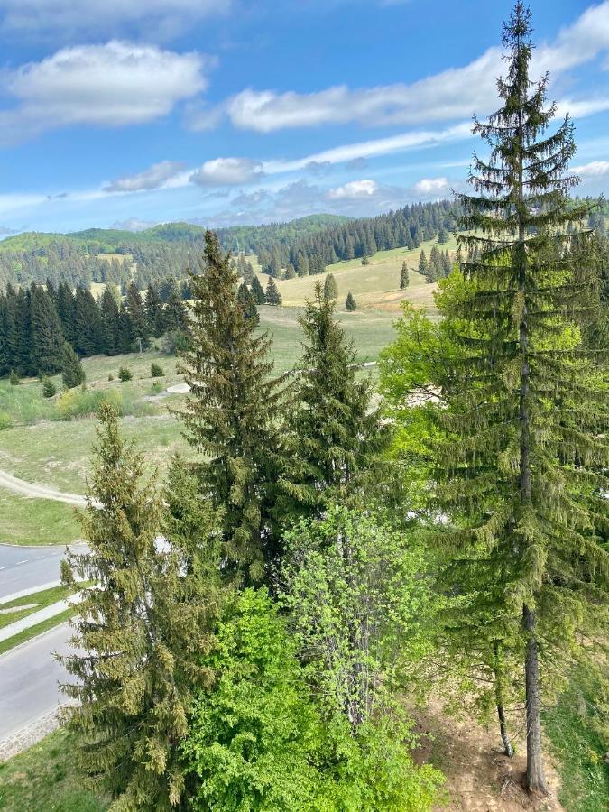 Happy Place Poiana Brasov Exteriör bild